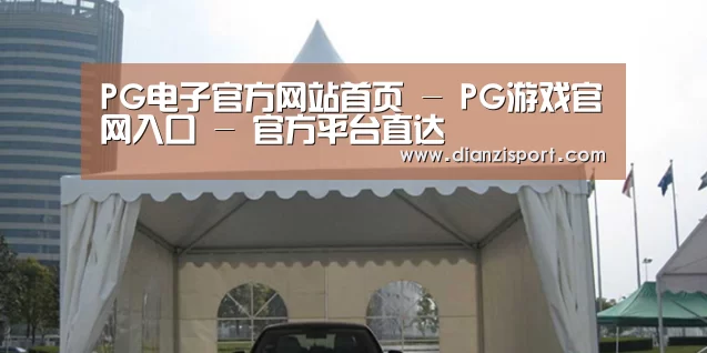 案例标题八