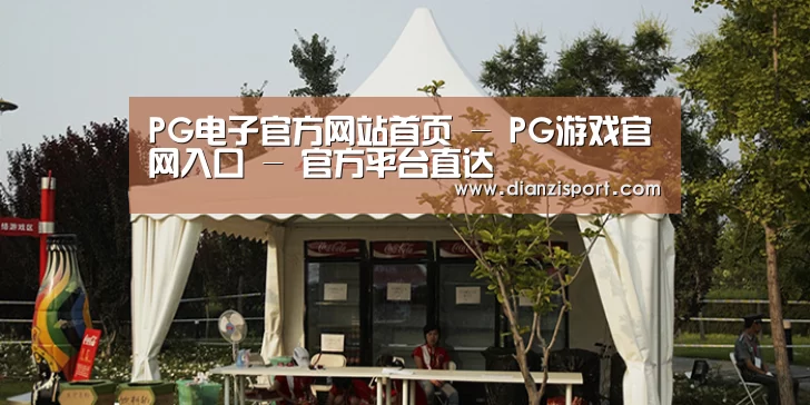 案例标题五