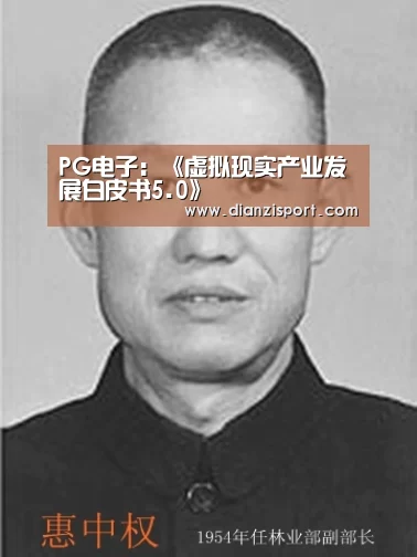 PG电子:《虚拟现实产业发展白皮书5.0》(图4) PG首页