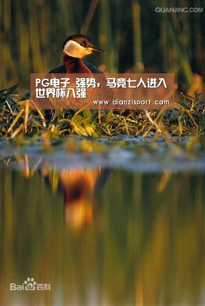 PG官网