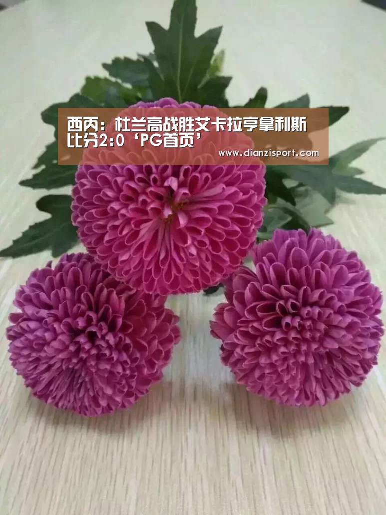 西丙: 杜兰高战胜艾卡拉亨拿利斯 比分2:0‘PG首页’(图1) PG首页