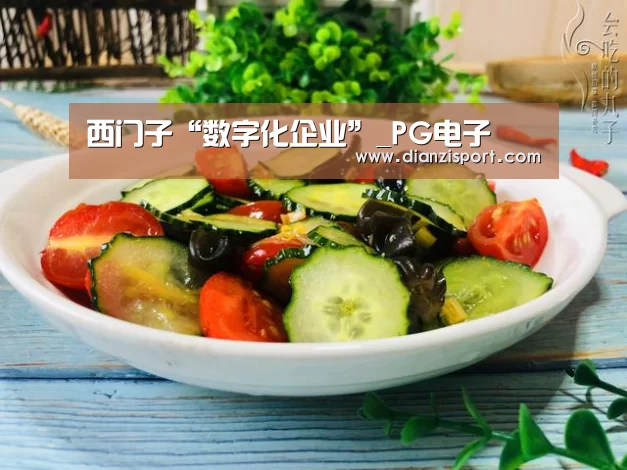 西门子“数字化企业”_PG电子(图2) PG入口